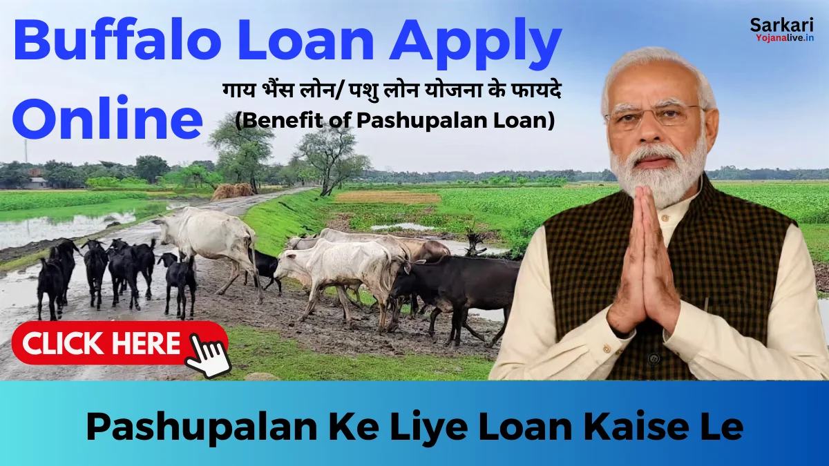 Pashupalan Ke Liye Loan Kaise Le: गाय, भैंस खरीदने के लिए लोन कैसे ले 2024
