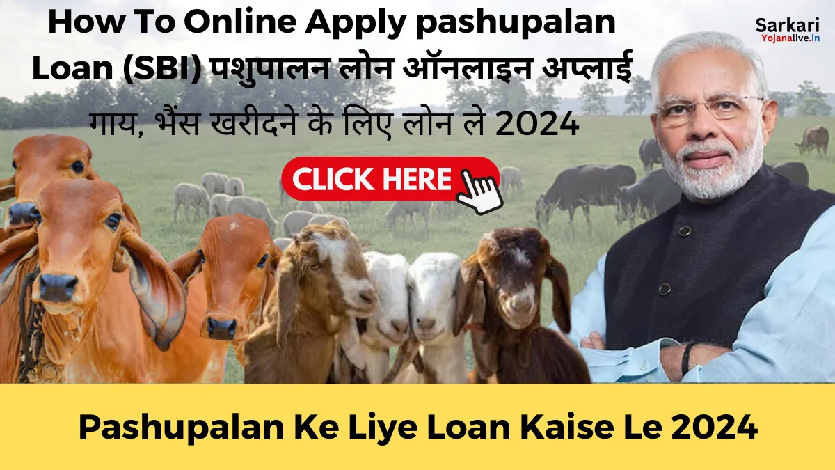 Pashupalan Ke Liye Loan Kaise Le: गाय, भैंस खरीदने के लिए लोन कैसे ले 2024