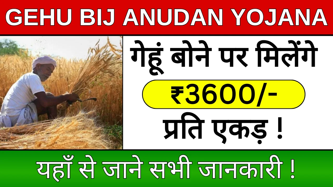 Gehu Bij Anudan Yojana 2024: किसानों को गेहूं पर मिलेंगे ₹3600